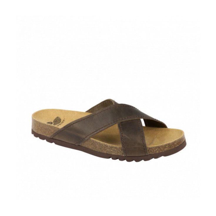 Dr Scholl Tangor Zapatilla Hombre Bandas Cruzadas Color Marrón Talla 46