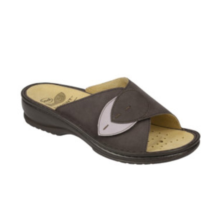 Dr Scholl Dama Desmontable Mujer Color Ciruela Talla 36