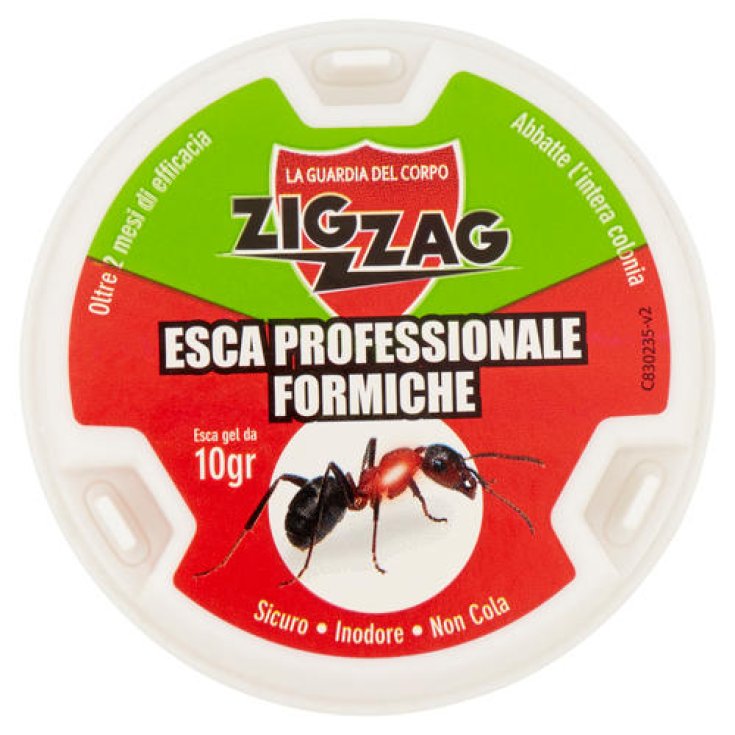 Deisa Ebano Zig Zag Bait Insecticida Anti hormigas 10g