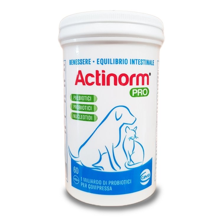 Actinorm Pro 60 Comprimidos