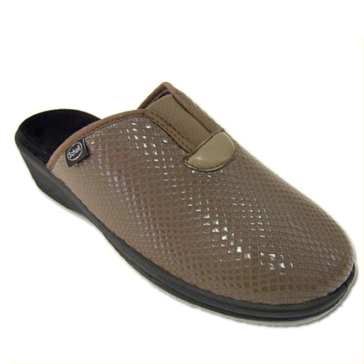 Zapatilla Mujer Scholl Elsa En Estampado Elástico Color Taupe Oscuro Talla 40