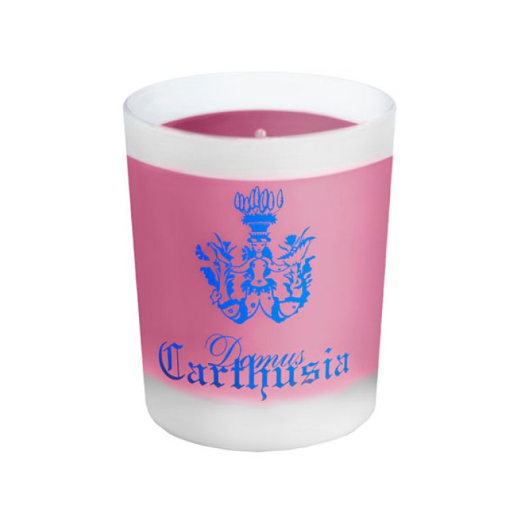 Vela Fruto De Baco Carthusia 190g