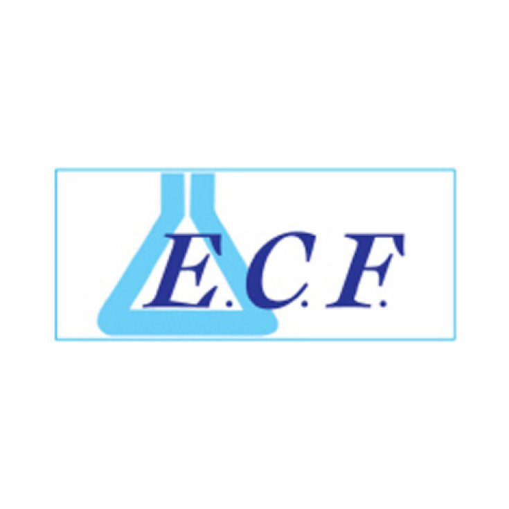 ECF Ecofil Fragancia Limpiador Íntimo 500ml