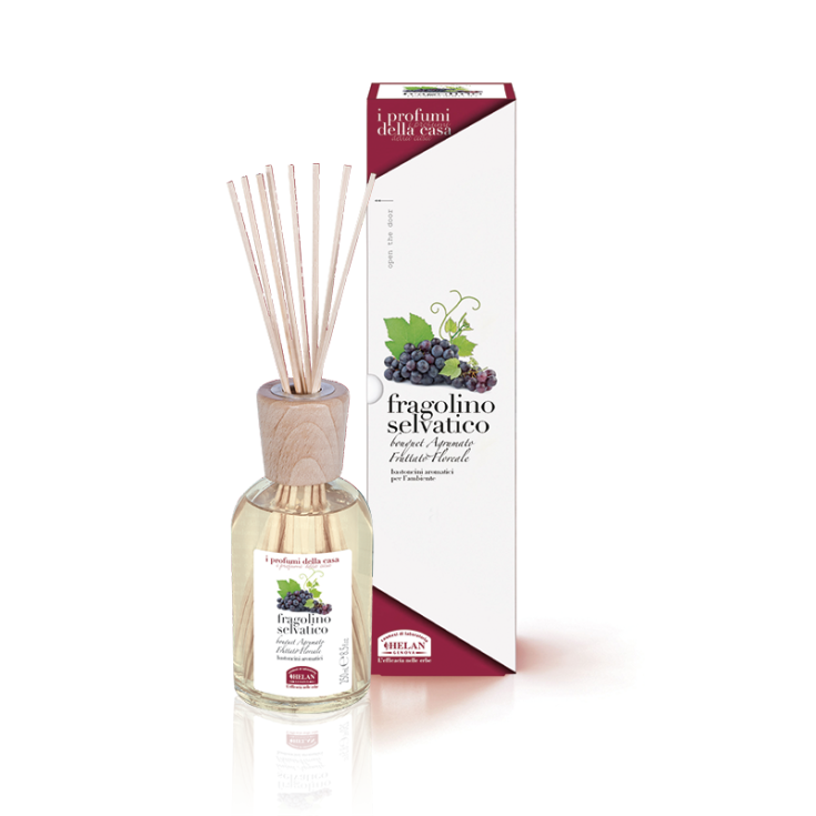 Fragolino Silvestre Helan 100ml