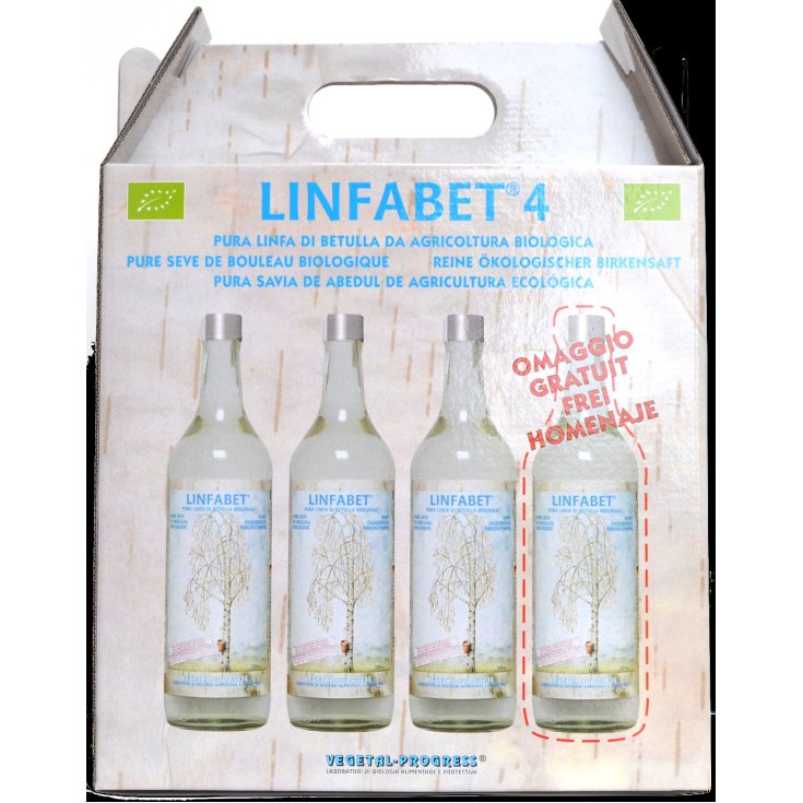 Linfabet® 4 Savia de Abedul Orgánica Pura Progreso Vegetal 3 Botellas + 1 Gratis