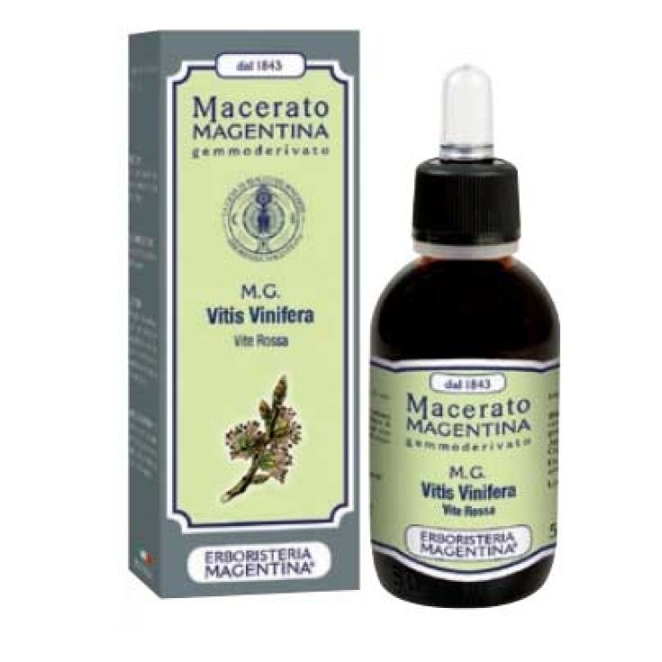 Magentina Macerada Vitis Venifera Herbal Magentina® 50ml