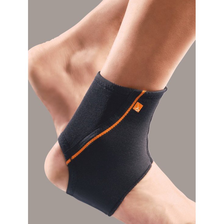 MalleoFIT37 Tobillera PR4-A1137 Talla L RO + TEN