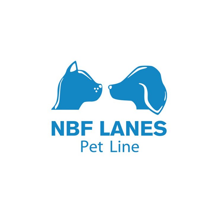 Virfeg Perro Y Gato NBF Lanes 15 Cápsulas