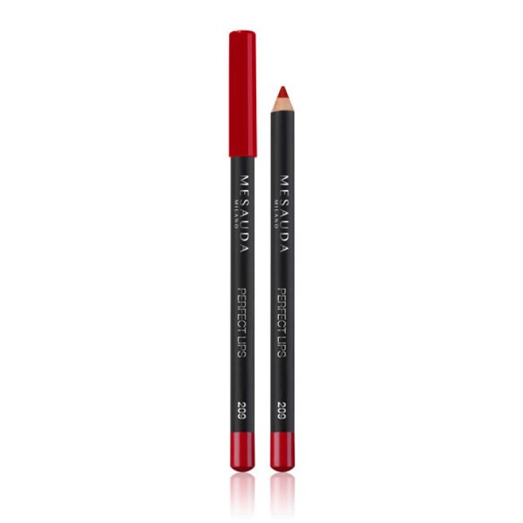 Mesauda Perfect Lips Lápiz labial 101