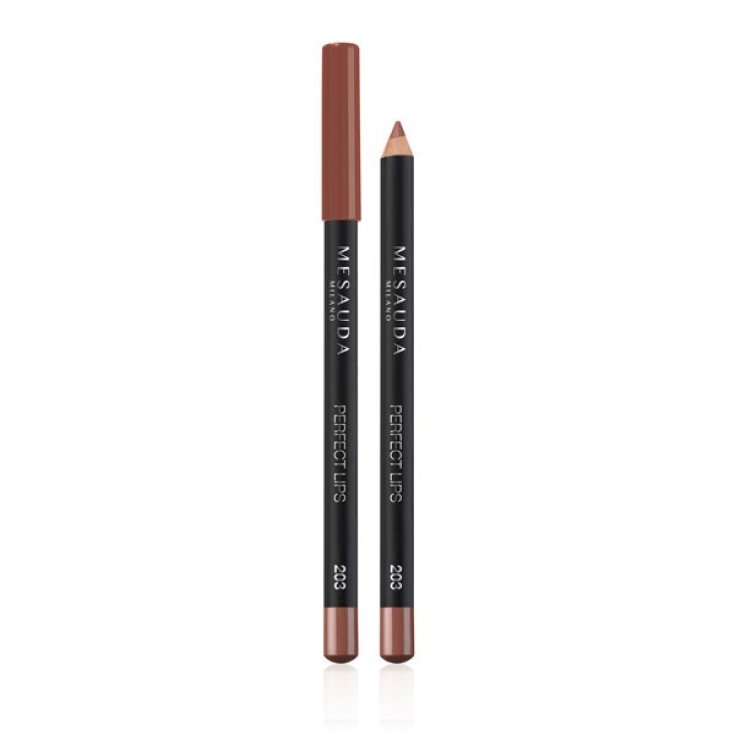 MESAUDA LABIOS PERFECTOS 203 CUERO