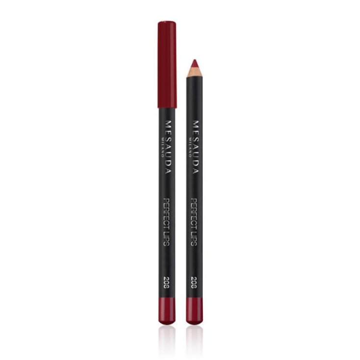 MESAUDA LABIOS PERFECTOS 208 RUBÍ
