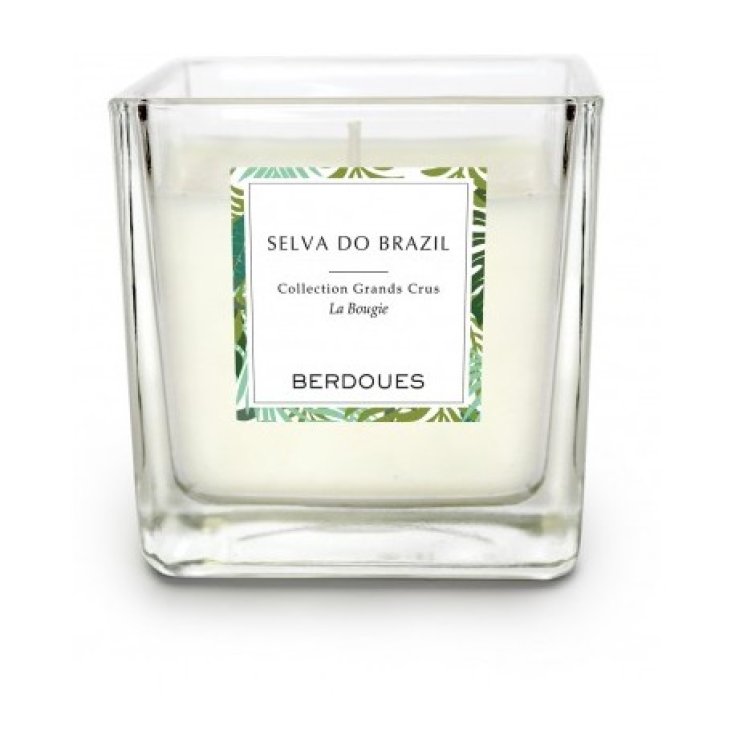 Vela Berdoues Selva Do Brasil