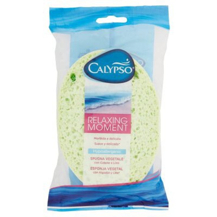 * ESPONJA SPONTEX BELLE CALYPSO