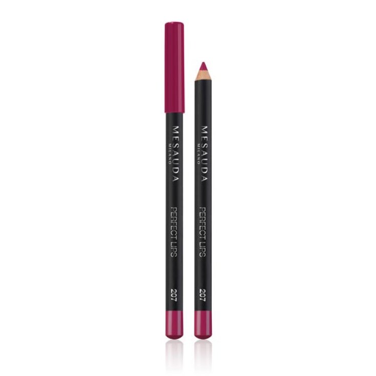 Mesauda Perfect Lips Lápiz Labial 207