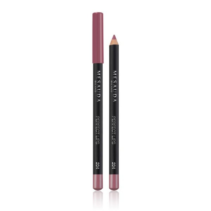 MESAUDA LABIOS PERFECTOS 204 PETAL