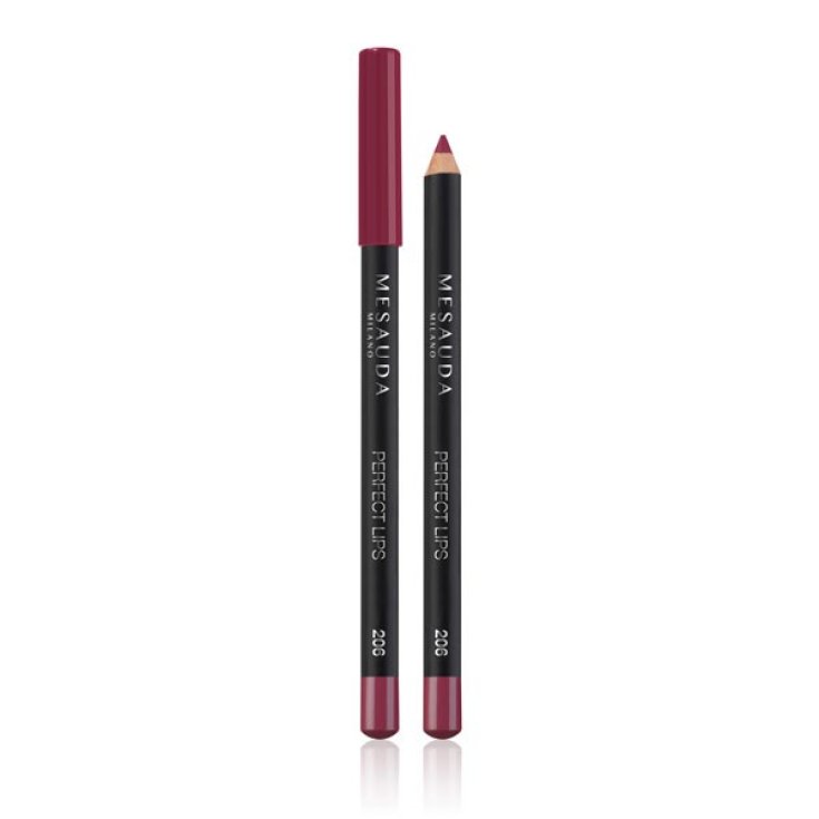 MESAUDA LABIOS PERFECTOS 206 DAZZLE