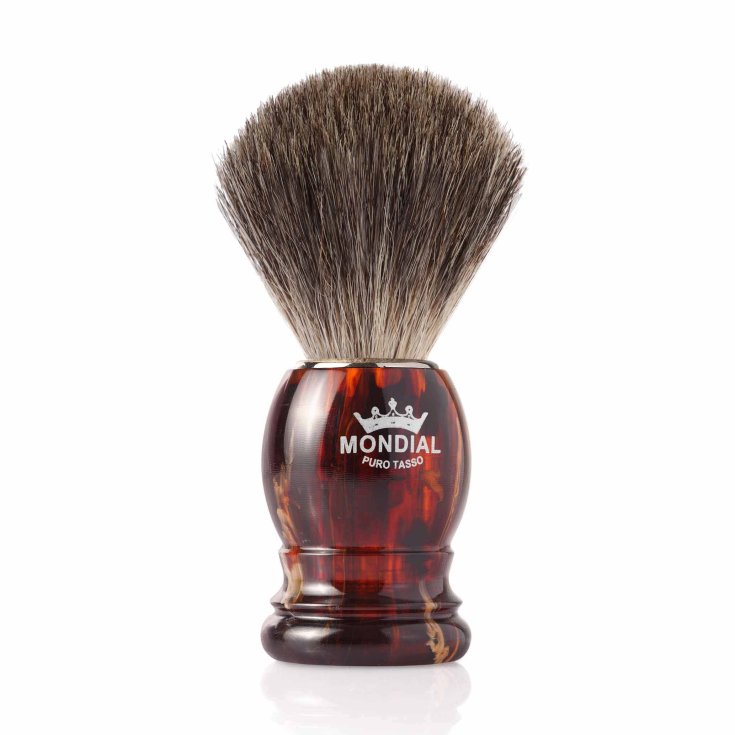 Mondial Boston Badger Turtle Cepillo 1 Pieza