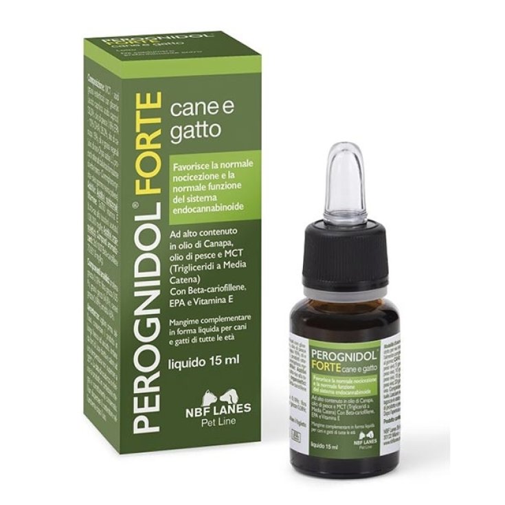 PEROGNIDOL® FORTE NBF CARRILES 15ml