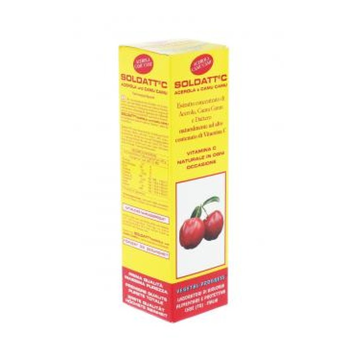 Soldatt® C Acerola E Camu Camu Progreso Vegetal 100ml