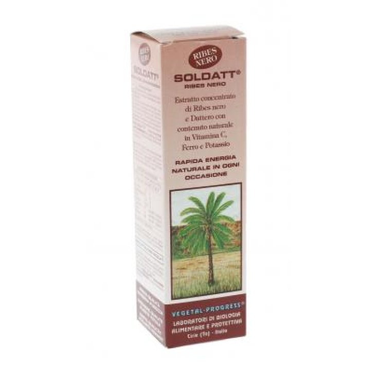 Soldatt® Grosella Negra Progreso Vegetal 100ml