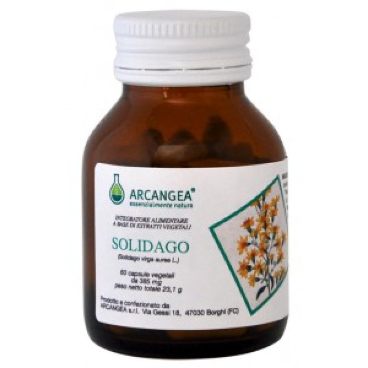 Solidago Bio Arcangea® 60 Capsulas 385mg