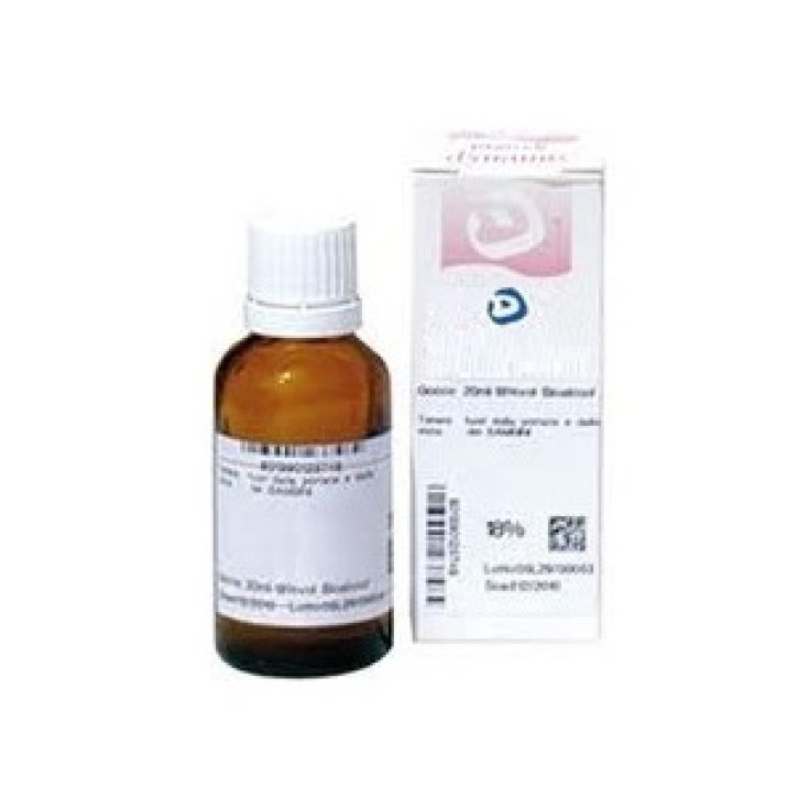 UNDA Symphytum Officinalis 9CH Gotas Medicina Homeopática 10ml