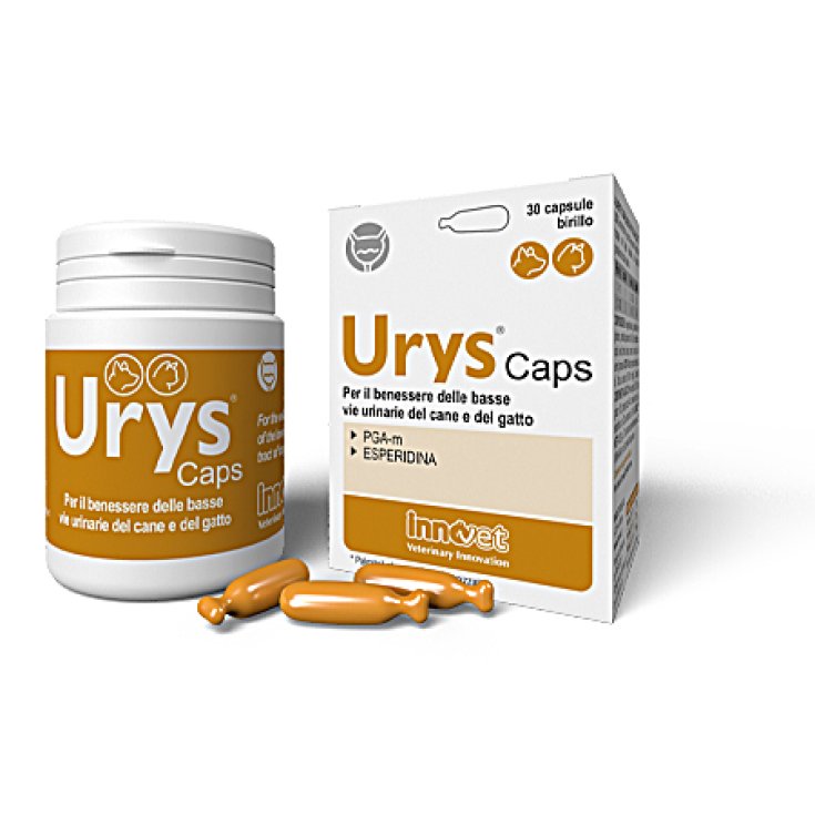 Urys® Caps Innovet 30 Cápsulas