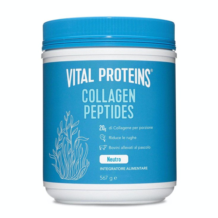 PÉPTIDOS DE COLÁGENO PROTEÍNAS VITALES 567g