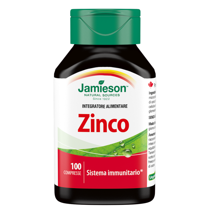 Zinc Jamieson™ 100 Comprimidos