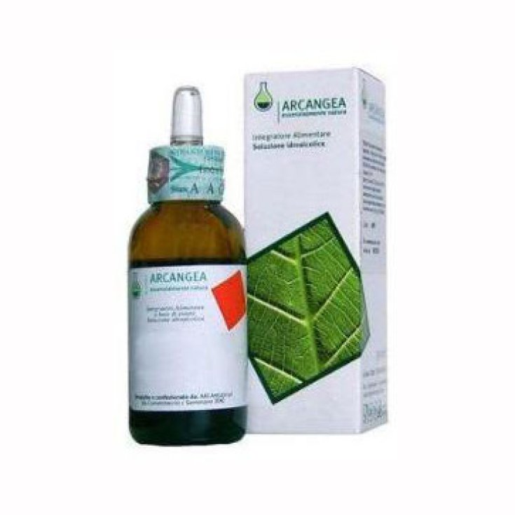 Aesculus Hippocastanum Arcangea 100ml