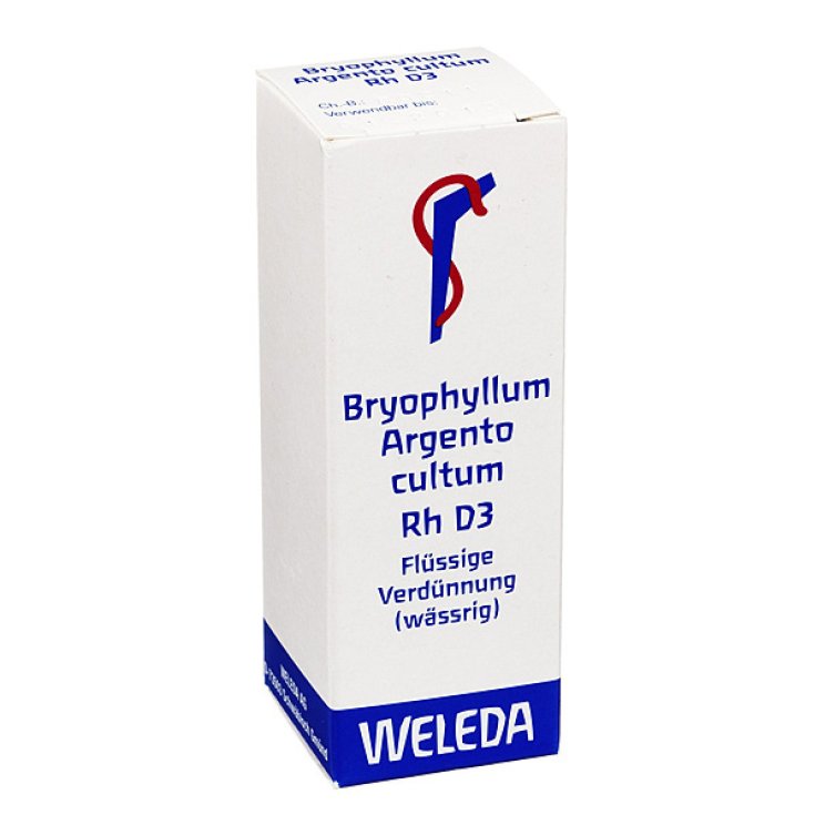 Bryophyllum Silver Cultum Rh D3 Weleda 20ml