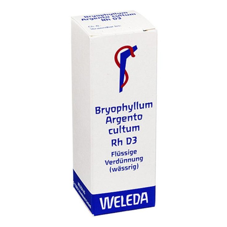 Bryophyllum Plata D3 Weleda 50ml