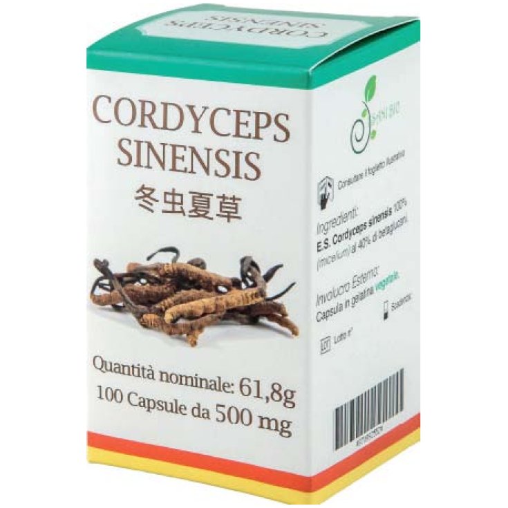Cordyceps Sinensis ISaniBio 100 Cápsulas