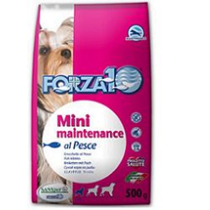 FORZA10 MINI MANTENIMIENTO PERRO PESC4KG