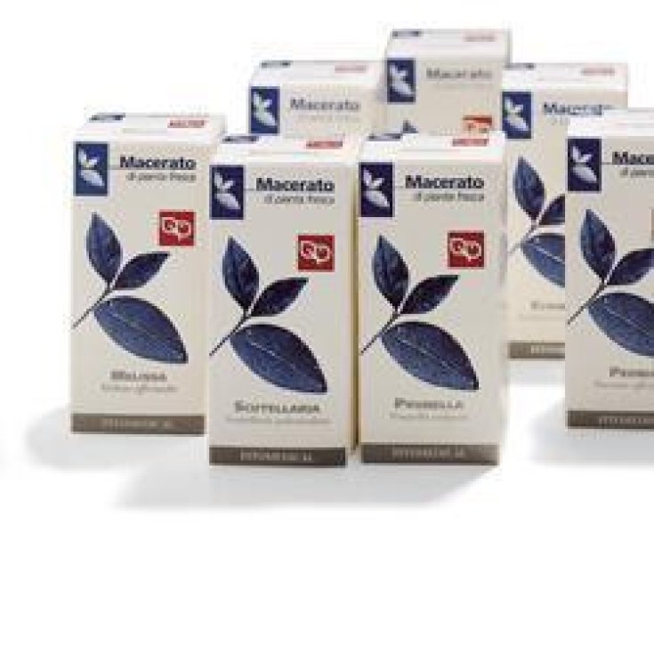 SCUTELLARIA TM 100ML