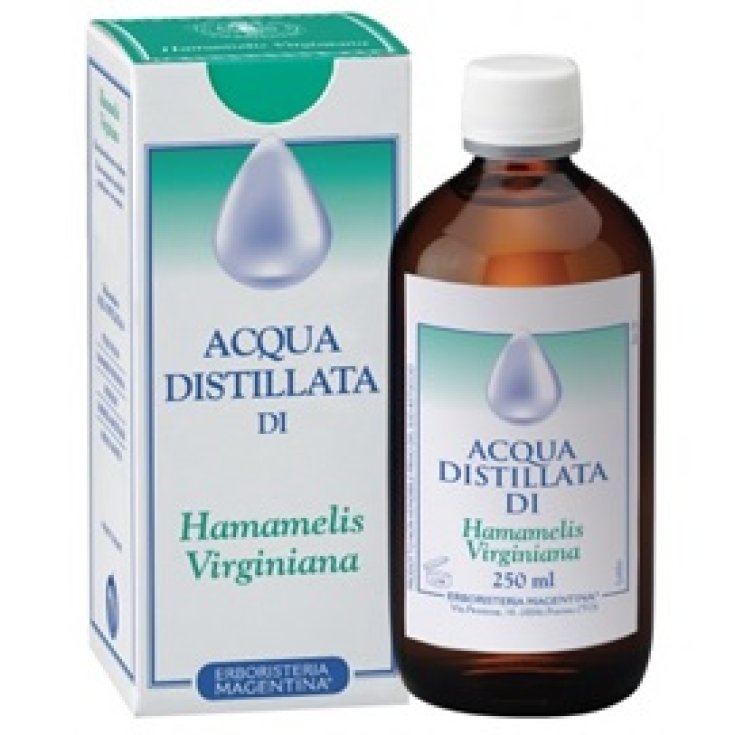 Hamamelis Acqua Destilado 250ml