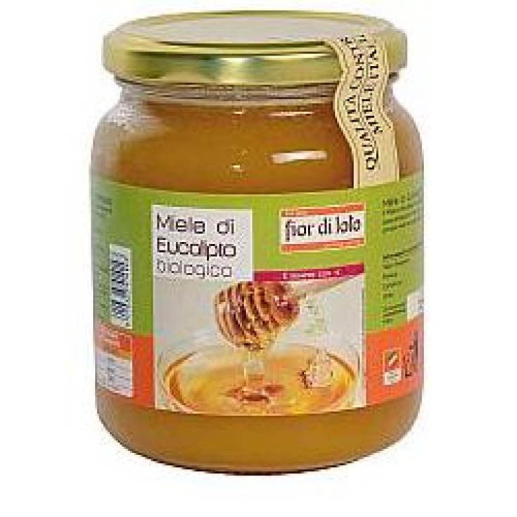 MIEL DE EUCALIPTO ECOLÓGICA 500G