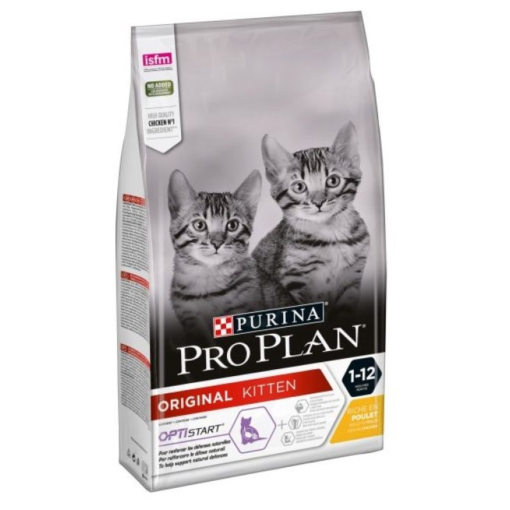 PP DC KITTEN POLLO SALUDABLE 10KG