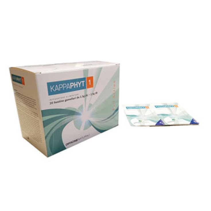 Oncophyt 1 20 busto 2,5g