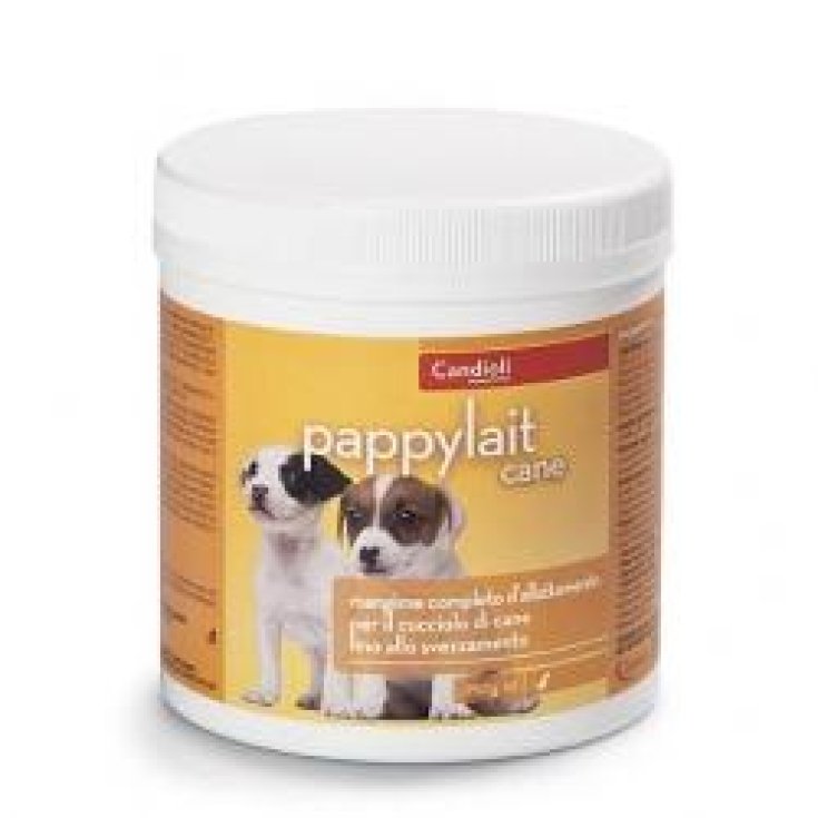 Pappylait Perro 250g