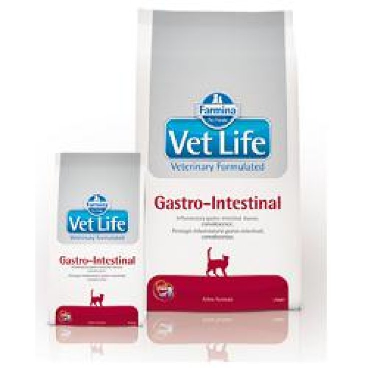 VET LIFE NAT FEL GASTRO IN400G