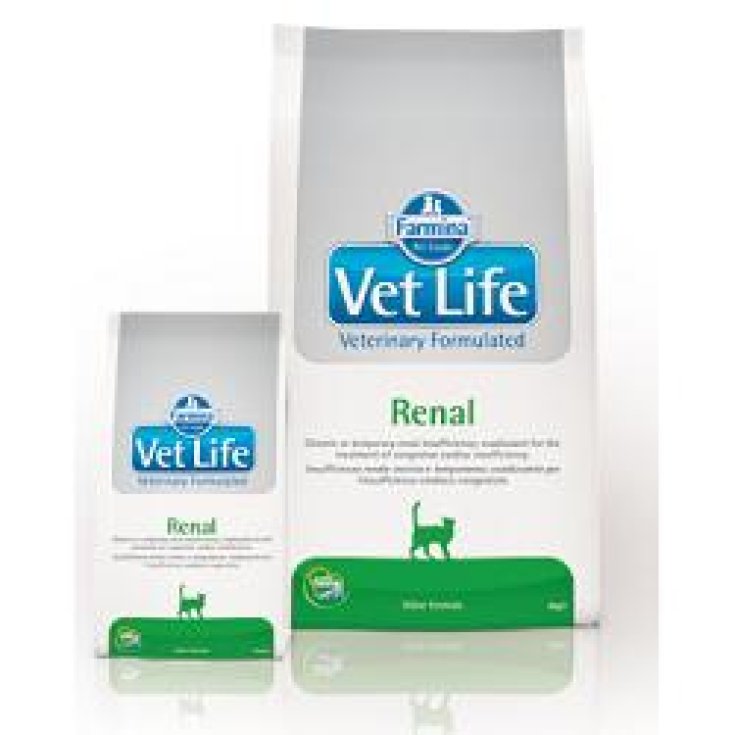VET LIFE NAT FEL RENAL 2KG