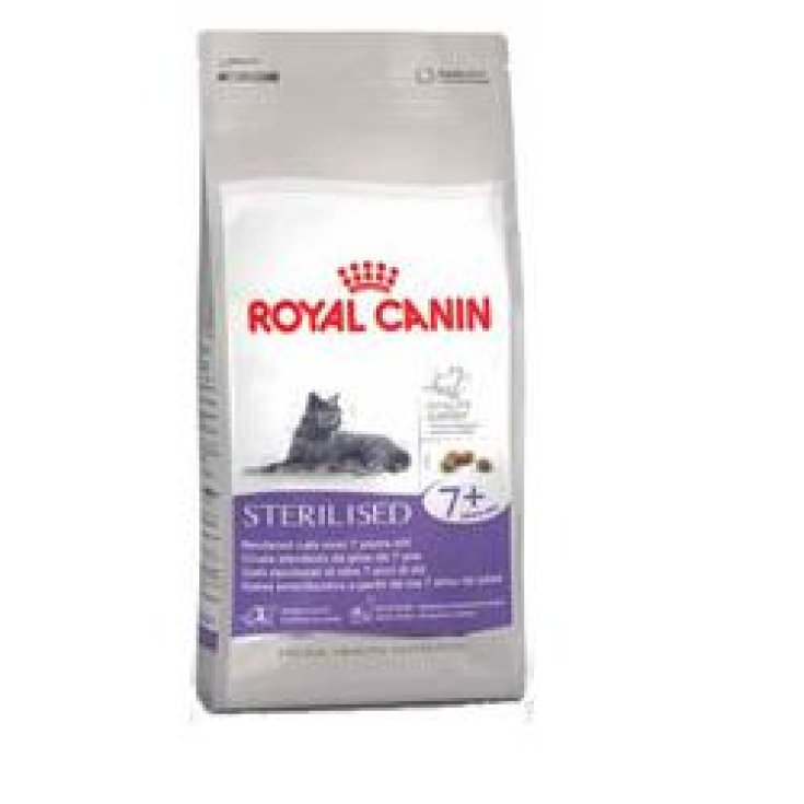 FHN REGULAR ESTERILIZADO 7+ 400G