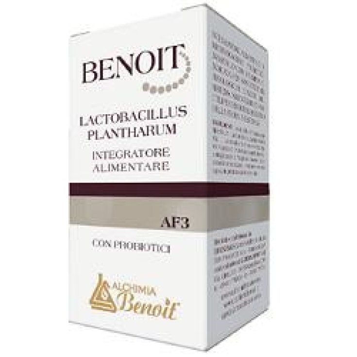 Benoit Lactobacillus Plantharu Complemento Alimenticio 30 Cápsulas