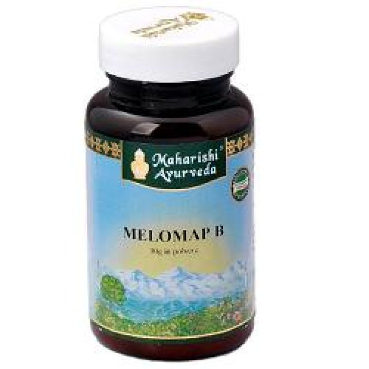 Melomap B Polvo 30g