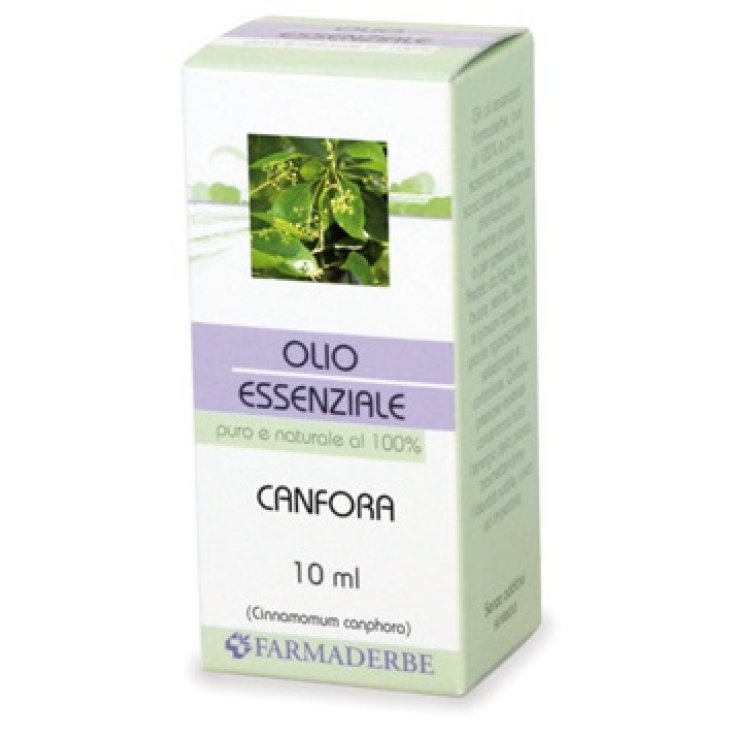 CANFORA OLIO ESSENZIALE 10ML