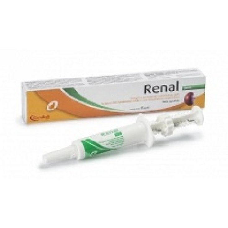 Pasta Renal Gatti 15ml