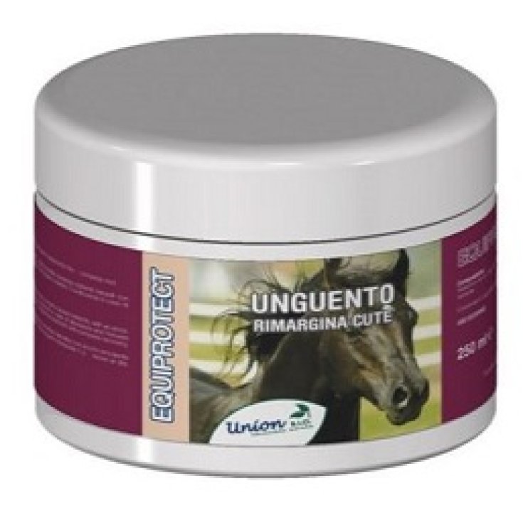 EQUIPROTECT UNG LLANTA LINDO 250ML