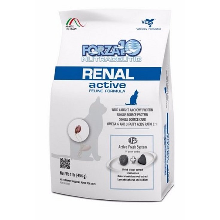 GATO RENAL ACTIVO 454G