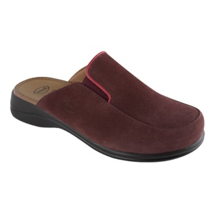NEW MOUE SINTÉTICO MORADO MUJER N35 Dr. Scholl's®